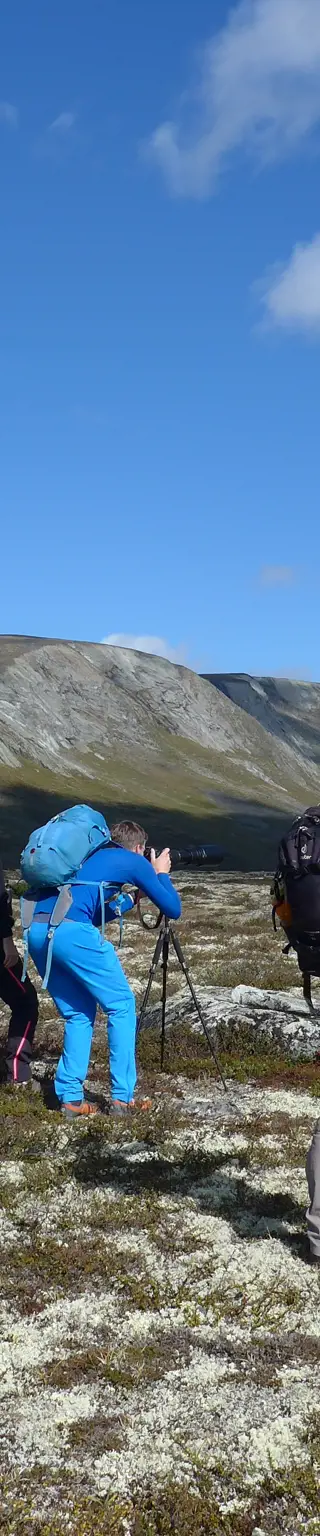 Wandern im Dovrefjell National Park